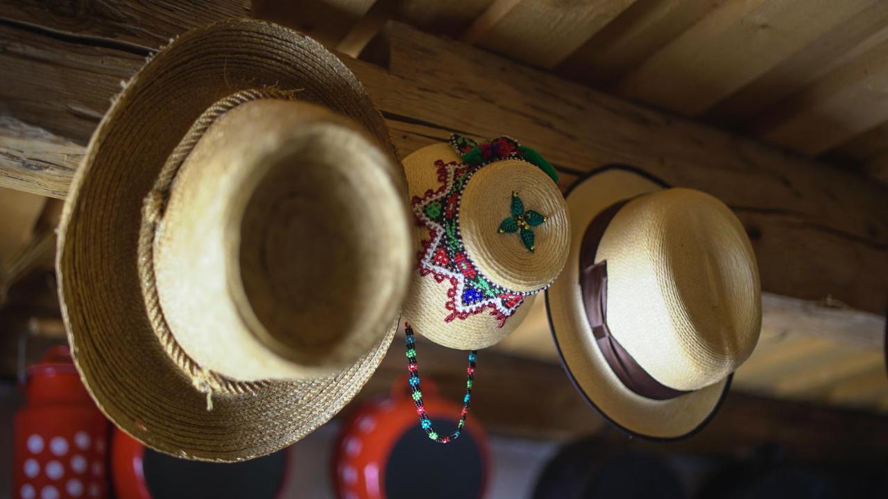 Iz De Maramures Rural Hotel (Adults Only) Surdesti  Exterior photo